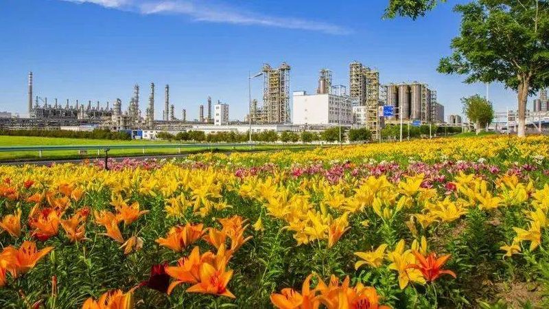 广州环保纺织助剂：绿色生产，品质先行**